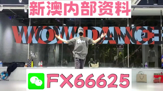管家婆一碼一肖100中獎|精選解釋解析落實,管家婆一碼一肖與中獎解析，揭秘背后的秘密策略與落實之道