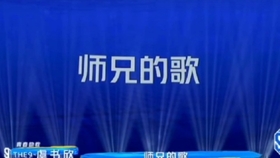 2024澳門今晚必開一肖|精選解釋解析落實,解析未來，澳門今晚必開一肖的奧秘與精選策略