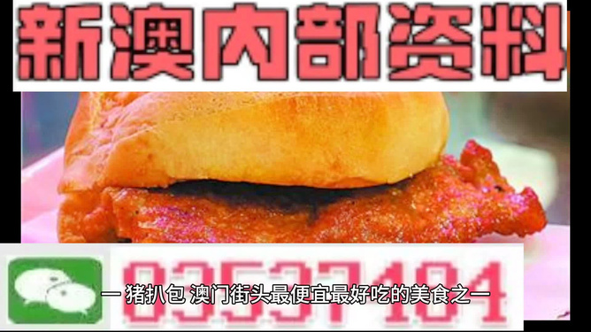 新澳門資料大全正版資料2024年免費下載|精選解釋解析落實,新澳門資料大全正版資料2024年免費下載，精選解釋解析落實