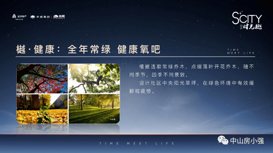 新澳門最精準正最精準龍門|精選解釋解析落實,新澳門最精準正最精準龍門，解析與落實之道