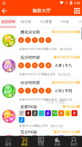 王中王72396王中王開獎結果今天|精選解釋解析落實,王中王彩票背后的秘密，開獎結果解析與今日精選預測