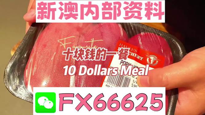 新澳精準資料大全免費|精選解釋解析落實,新澳精準資料大全免費，解析與落實精選解釋