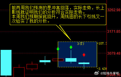 一肖一碼100-準資料|精選解釋解析落實,一肖一碼100%準資料，精選解釋解析與落實策略