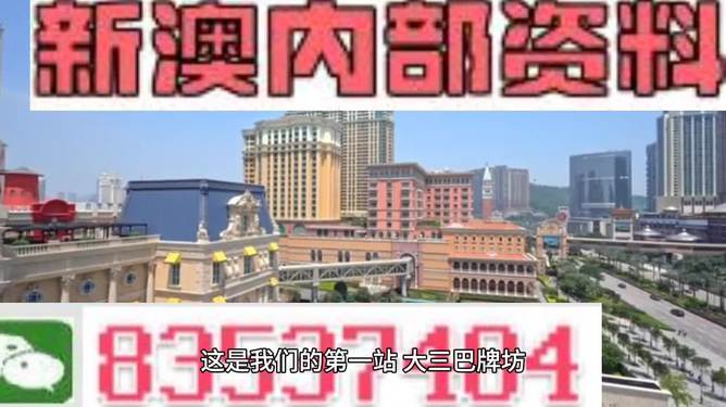 2024澳門精準正版免費|精選解釋解析落實,解析澳門精準正版免費策略，落實與精選解釋