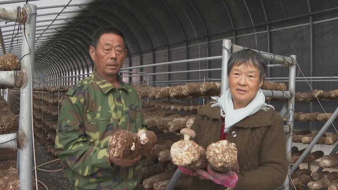 裕華區南王村最新新聞,裕華區南王村的最新動態，揭開新時代的鄉村面貌與發展步伐