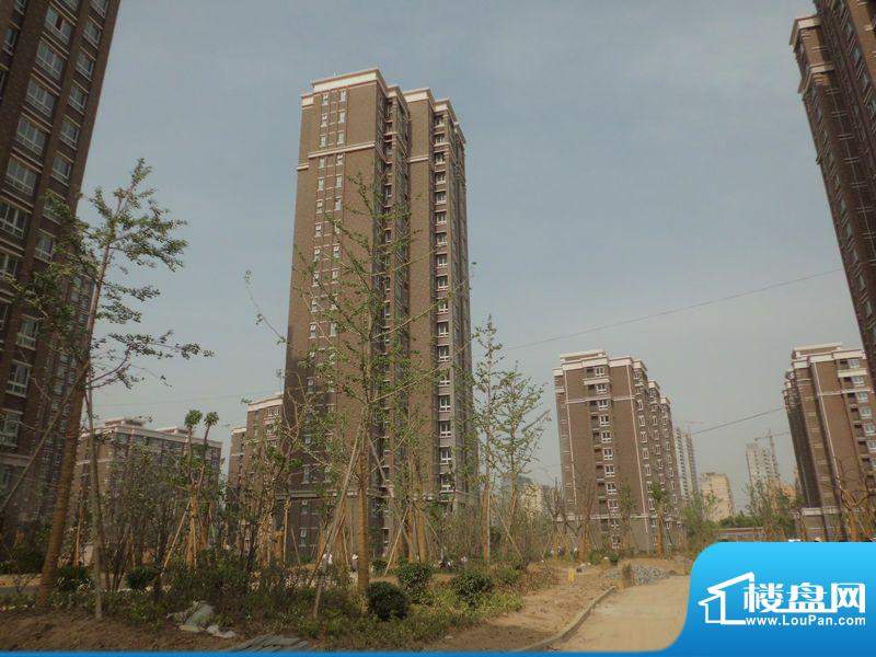 金山福地二期最新房價,金山福地二期最新房價動態分析