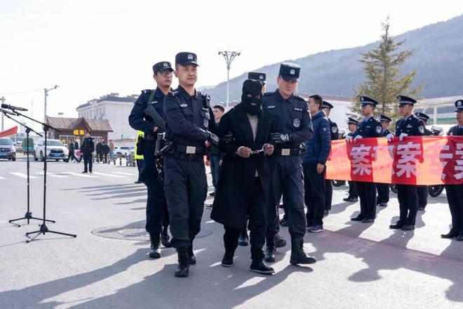 岷縣公安網最新消息,岷縣公安網最新消息全面解析