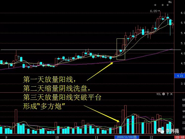 2025年1月 第826頁