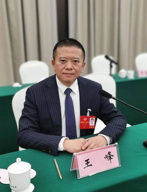 杜傳志最新消息2017,杜傳志最新消息2017，揭秘他的成長歷程與現今動態