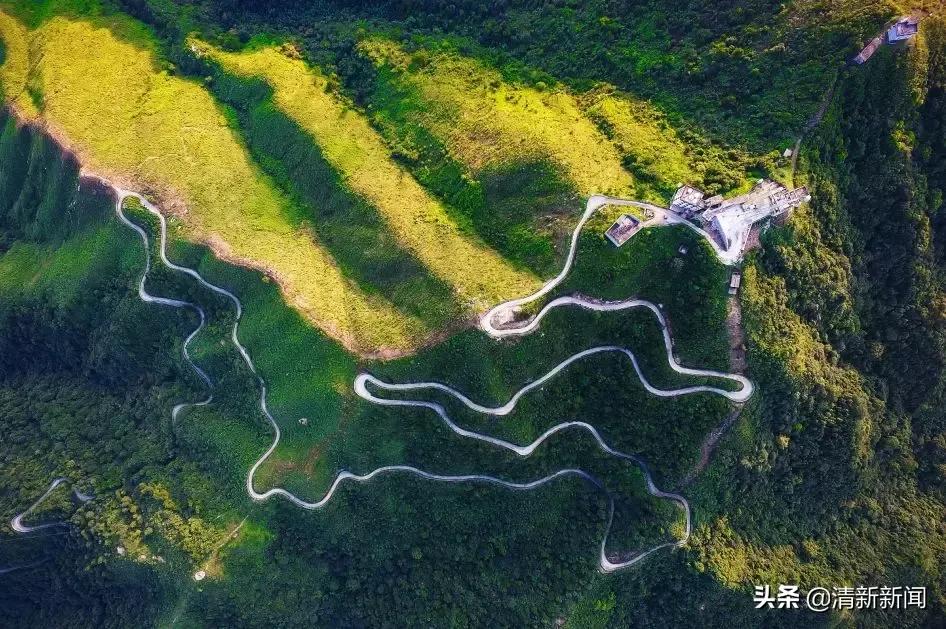 清遠林業局最新消息,清遠林業局最新消息概覽