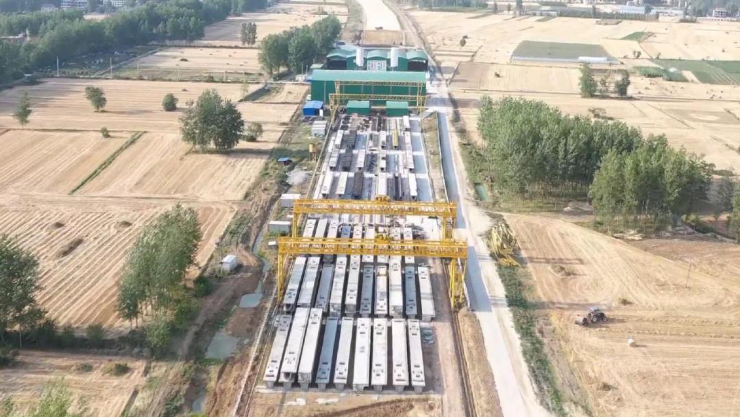 阜南s238最新消息,阜南S238最新消息全面解析