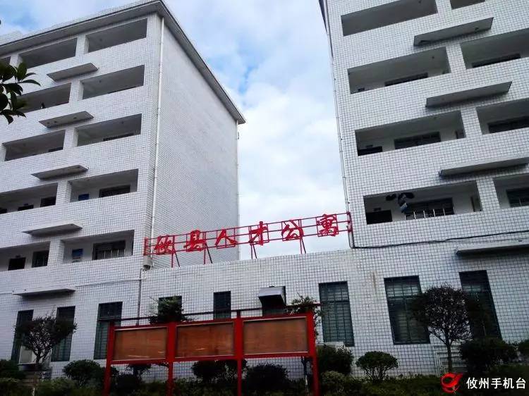 涿鹿工業(yè)園區(qū)最新招聘,涿鹿工業(yè)園區(qū)最新招聘——打造人才高地，引領(lǐng)區(qū)域經(jīng)濟(jì)發(fā)展