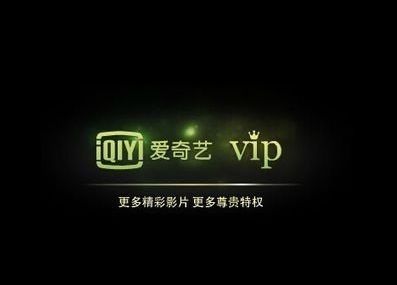 愛奇藝最新vip會員賬號共享,愛奇藝最新VIP會員賬號共享，探索數字娛樂的新時代