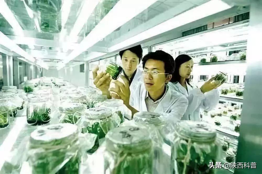 楊凌設市最新消息2017,楊凌設市最新消息2017，發展動態與前景展望