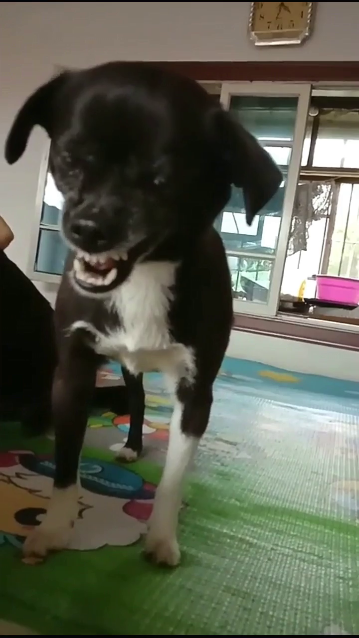 云海散人 第6頁