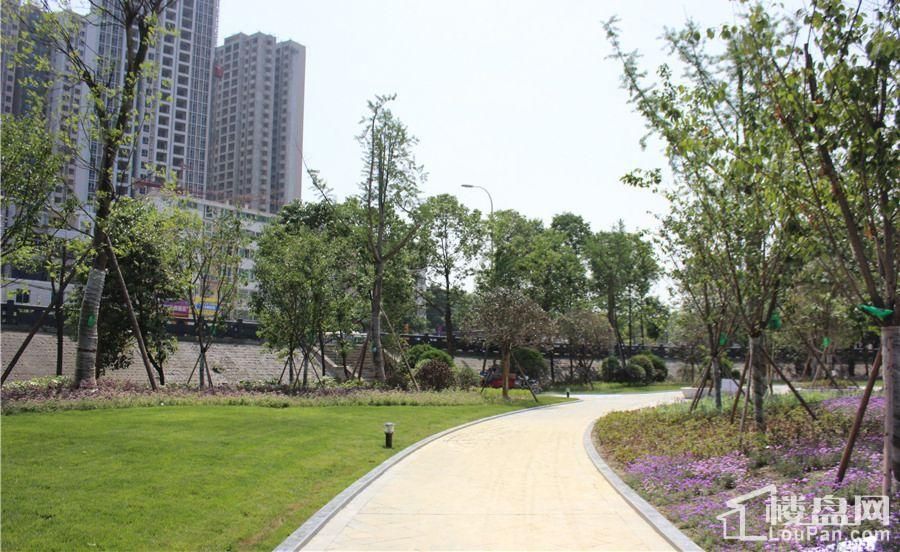 天泰紫玉叁號最新動態,天泰紫玉叁號最新動態，揭開未來居住的新篇章