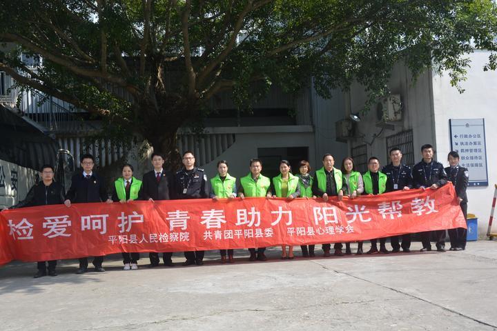 平陽(yáng)看守所最新消息,平陽(yáng)看守所最新消息全面解讀