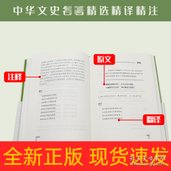 李澤丁潔最新章節列表,李澤丁潔最新章節列表，探尋故事的深度與廣度