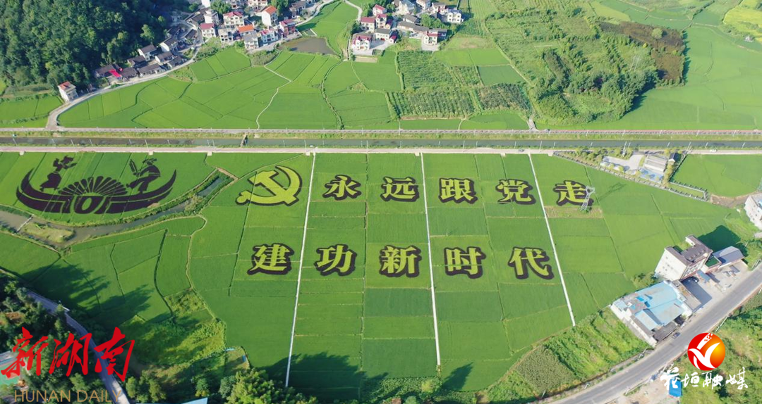 普寧農村土地最新消息,普寧農村土地最新消息，變革與發展