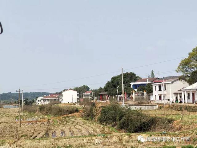 赤沙村改造最新消息,赤沙村改造最新消息，重塑鄉村風貌，開啟發展新篇章