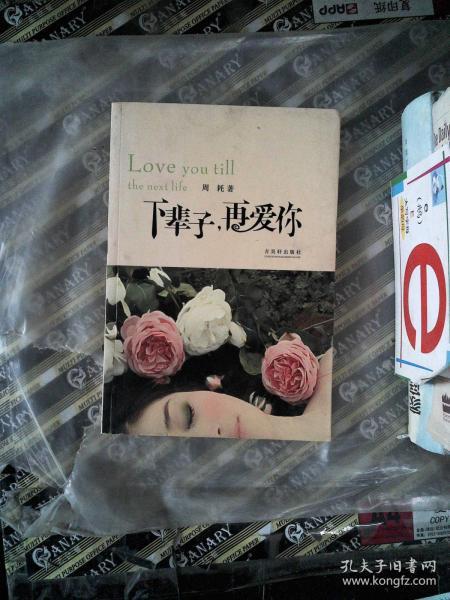 下輩子再愛你最新章節(jié),下輩子再愛你——最新章節(jié)解讀