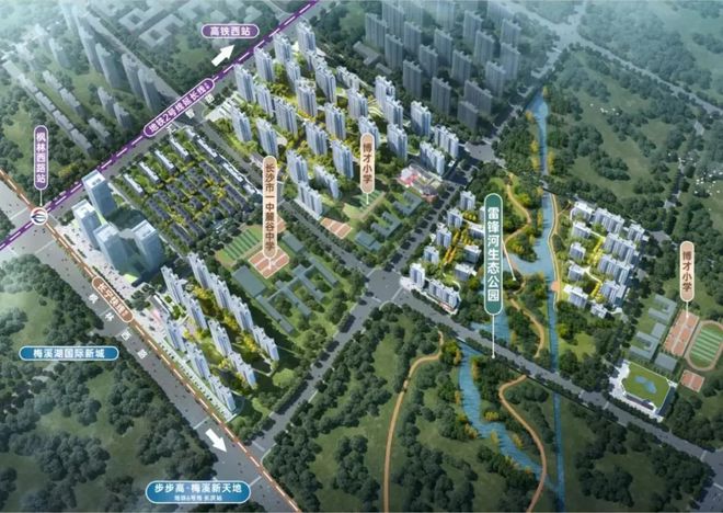 新鄭締景天城最新消息,新鄭締景天城最新消息全面解讀