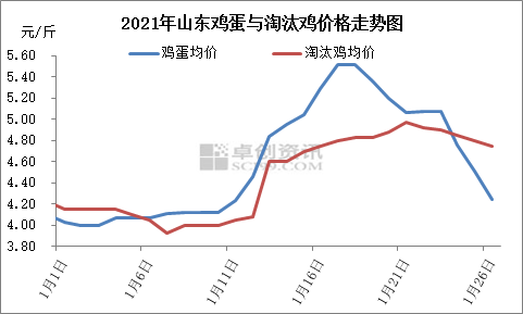 四平市最新雞蛋價(jià)格,四平市最新雞蛋價(jià)格動態(tài)分析