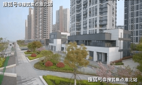 蘇銀霞事件最新消息,蘇銀霞事件最新消息全面解析