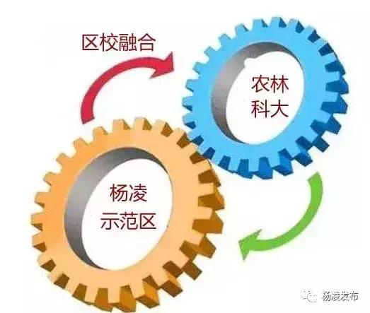 中加示范區(qū)最新消息,中加示范區(qū)最新消息全面解讀