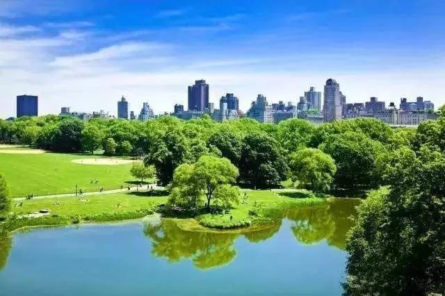沛縣中央公園最新消息,沛縣中央公園最新消息，一座城市綠肺的嶄新面貌