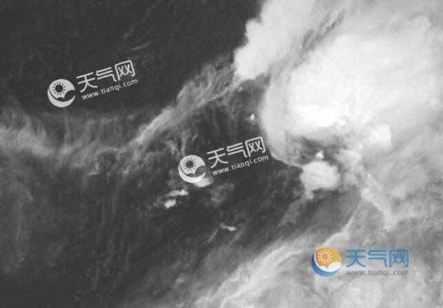衛星云圖臺風最新消息,衛星云圖揭示，臺風最新動態與影響分析