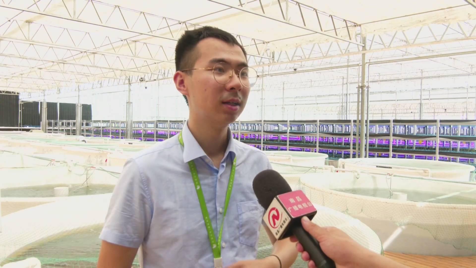 南昌縣塘南鎮最新規劃,南昌縣塘南鎮最新規劃，打造現代化城鎮新標桿