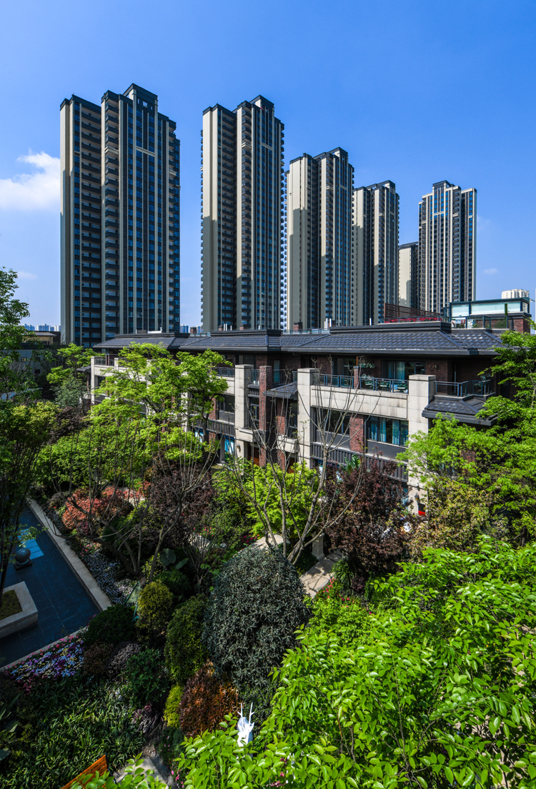 首創嬌子一號最新信息,首創嬌子一號最新信息解析