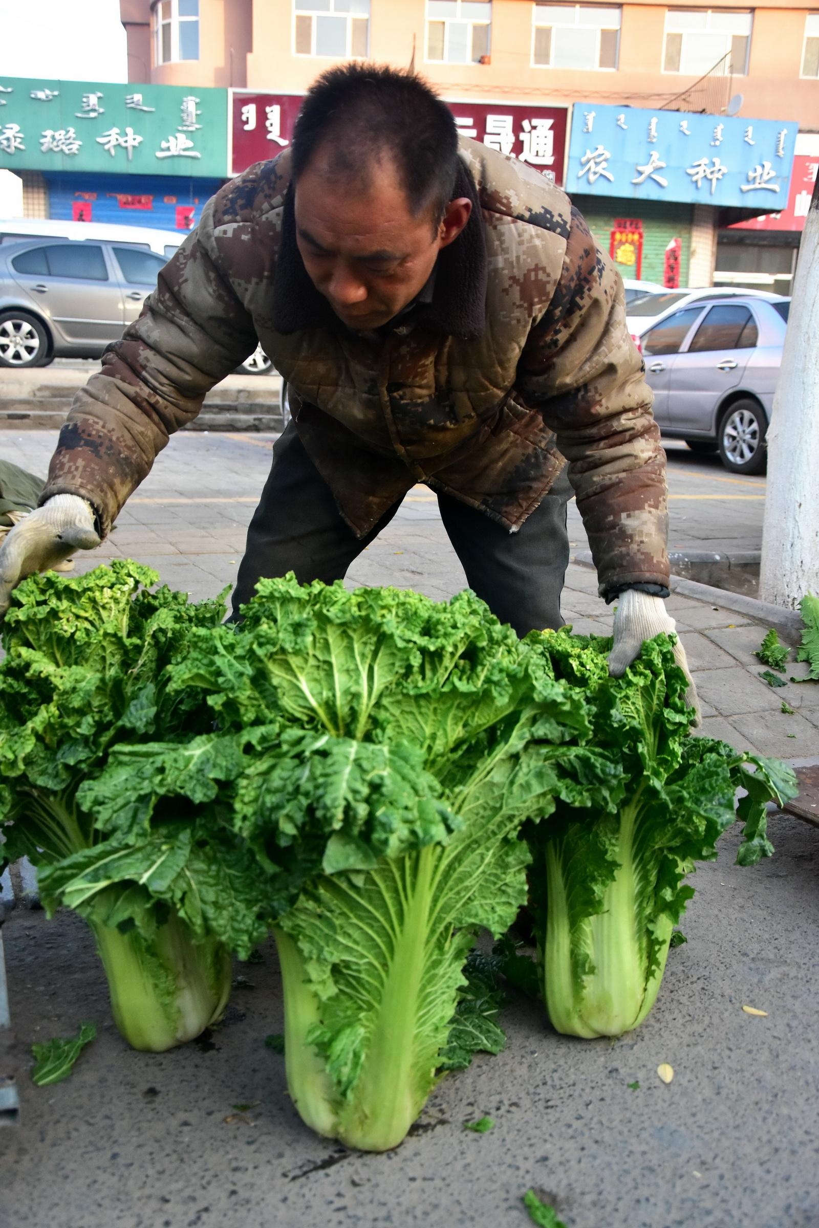 非常幫大哥最新一期,非常幫大哥最新一期，深度解析與獨特體驗分享
