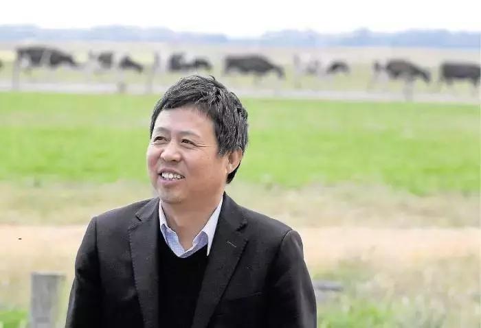 先鋒新材股票最新消息,先鋒新材股票最新消息全面解讀