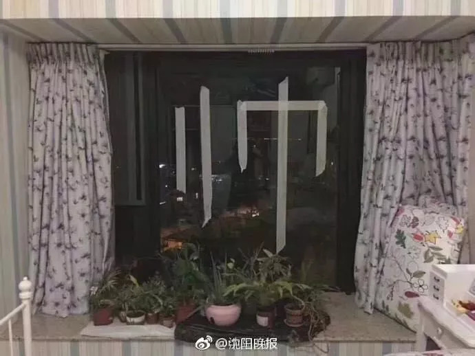 陸豐臺風最新消息,陸豐臺風最新消息，臺風動態與應對措施