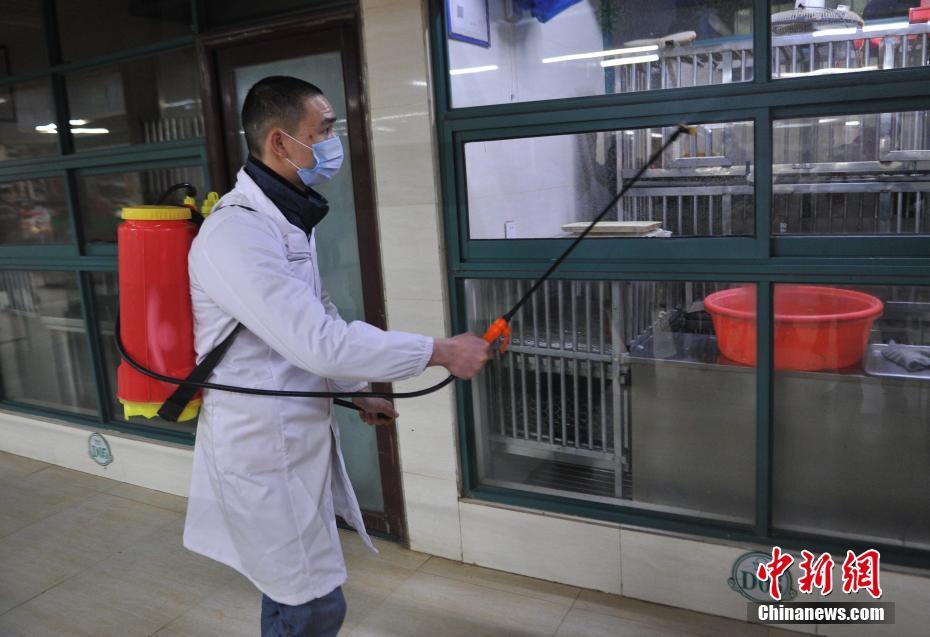 榆林h7n9最新疫情,榆林市H7N9疫情最新動態分析