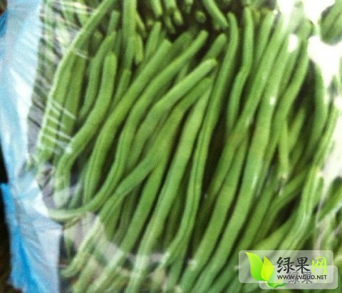 四季豆價格最新行情,四季豆價格最新行情分析