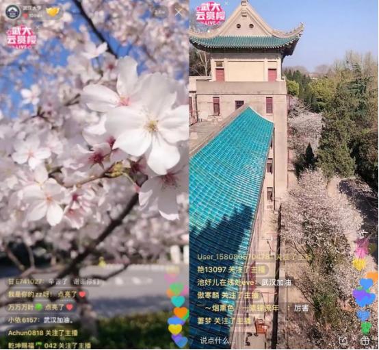 快手app下載最新版本,快手APP下載最新版本的魅力與優(yōu)勢