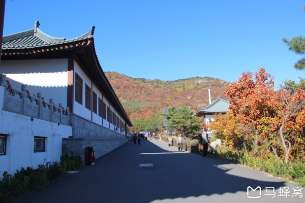 旅順寺溝搬遷最新消息,旅順寺溝搬遷最新消息