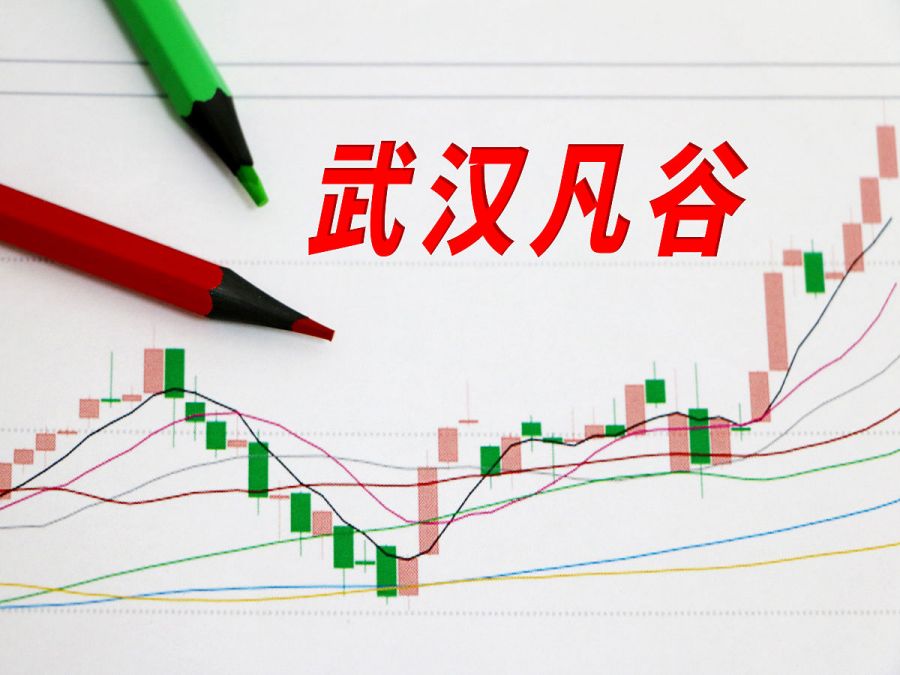 武漢凡谷股票最新消息,武漢凡谷股票最新消息全面解析