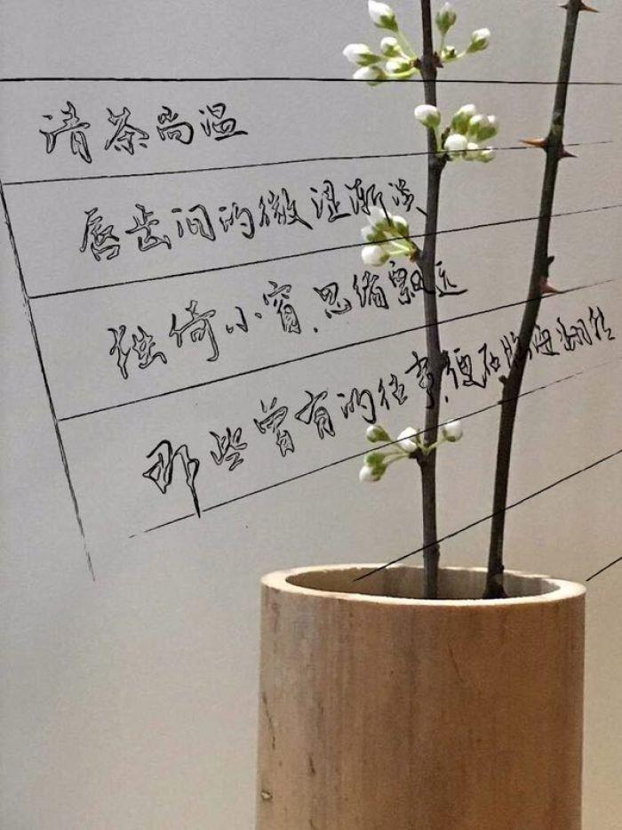 十二年故人戲最新章節,十二年故人戲最新章節，時光流轉中的情感糾葛