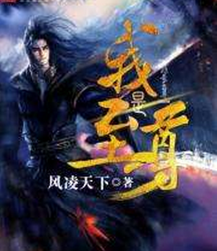 唐心洛陸煜宸小說最新,唐心洛與陸煜宸，小說最新篇章的探尋