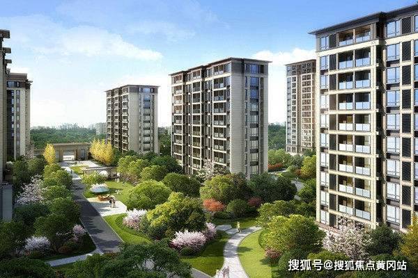 經(jīng)翔被砍最新消息,經(jīng)翔被砍最新消息全面解析