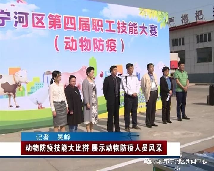 寧河蘆臺新聞最新消息,寧河蘆臺新聞最新消息全面報道