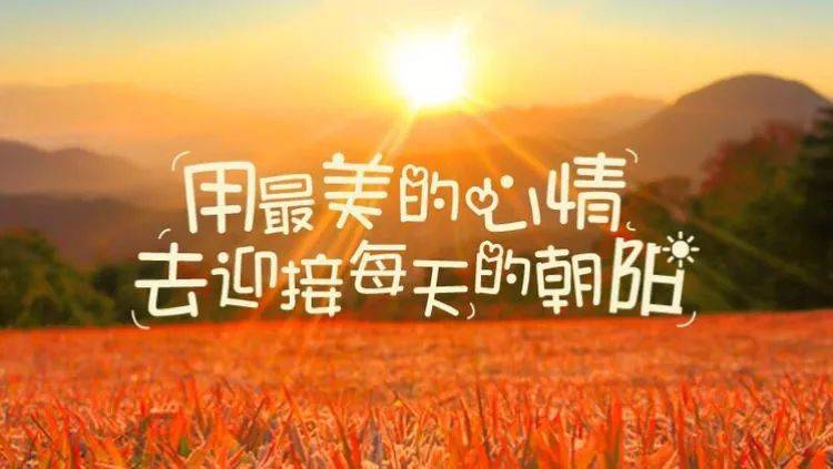 等著我2017最新一期,等著我2017最新一期，希望與堅持交織的美好篇章