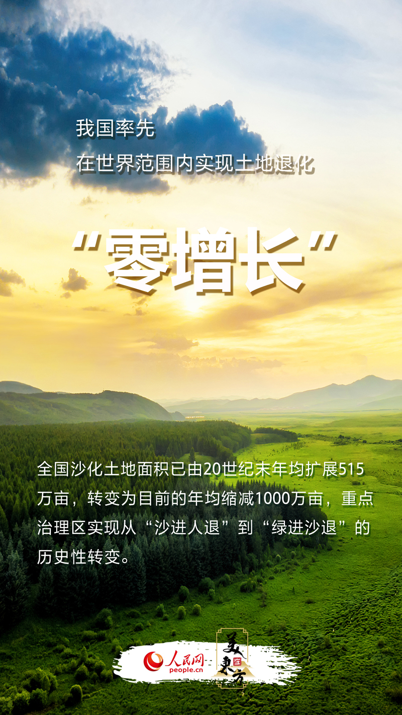 最新左岸春風一語斷蘭,最新左岸春風一語斷蘭，探尋自然之美與人性的覺醒