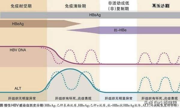 大三陽最新治療方法,關于大三陽的最新治療方法研究與應用