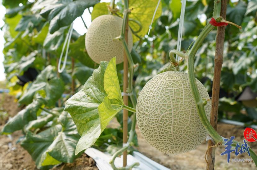 九幽鬼圣 第3頁