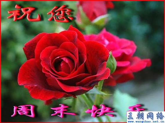 最新周末祝福短信,最新周末祝福短信